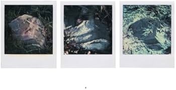 Arno Fischer: Der Garten: The Garden : Leonhardi-Museum Dresden Arno Fischer: Der Garten: The Garden : Leonhardi-Museum Dresden